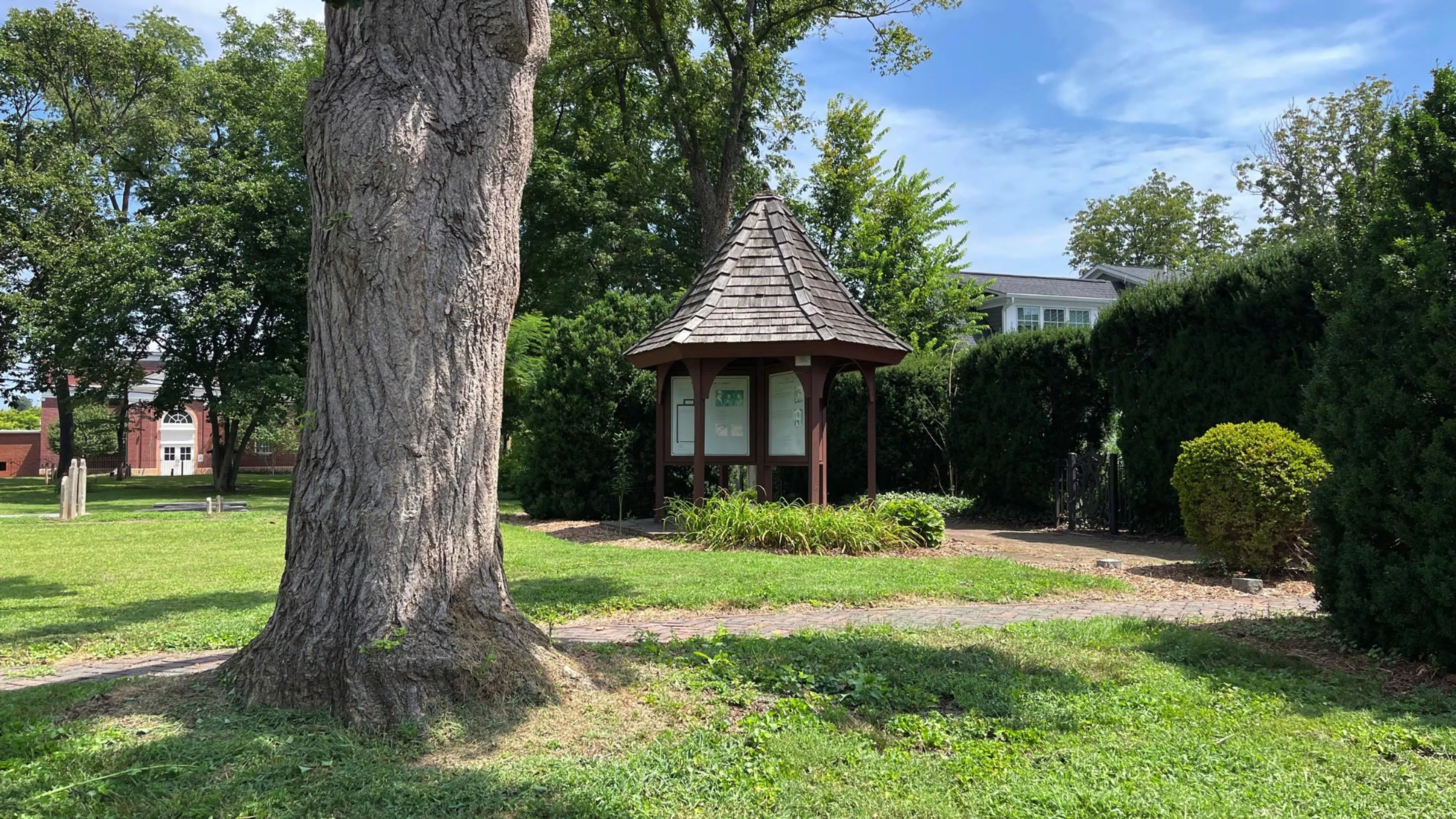 Make an Impact Week 2025